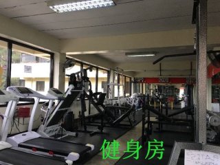 Michael游学纪录