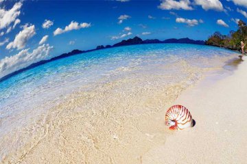 <b>菲律宾游学四大热门城市比较</b>